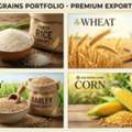 Best Grains Exporter In India – Premium Quality Grain Supply By Glee Impex