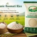 INR 293,  Buy Premium Organic Basmati Rice | Elworld Organic