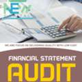 Financial Statement Audit Service