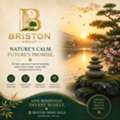 Briston World &ndash; Highway Frontage Built For Business Growth