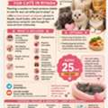CAT DAYCARE, CAT BOARDING, PET SITTER AND BOARDING