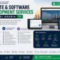 Professional Website & Software Development Services