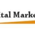 White Label SEO Services For Agencies By Digital Marketers India