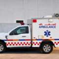 SAR 310000,  Ford F150,  2025,  Automatic,  100 KM,