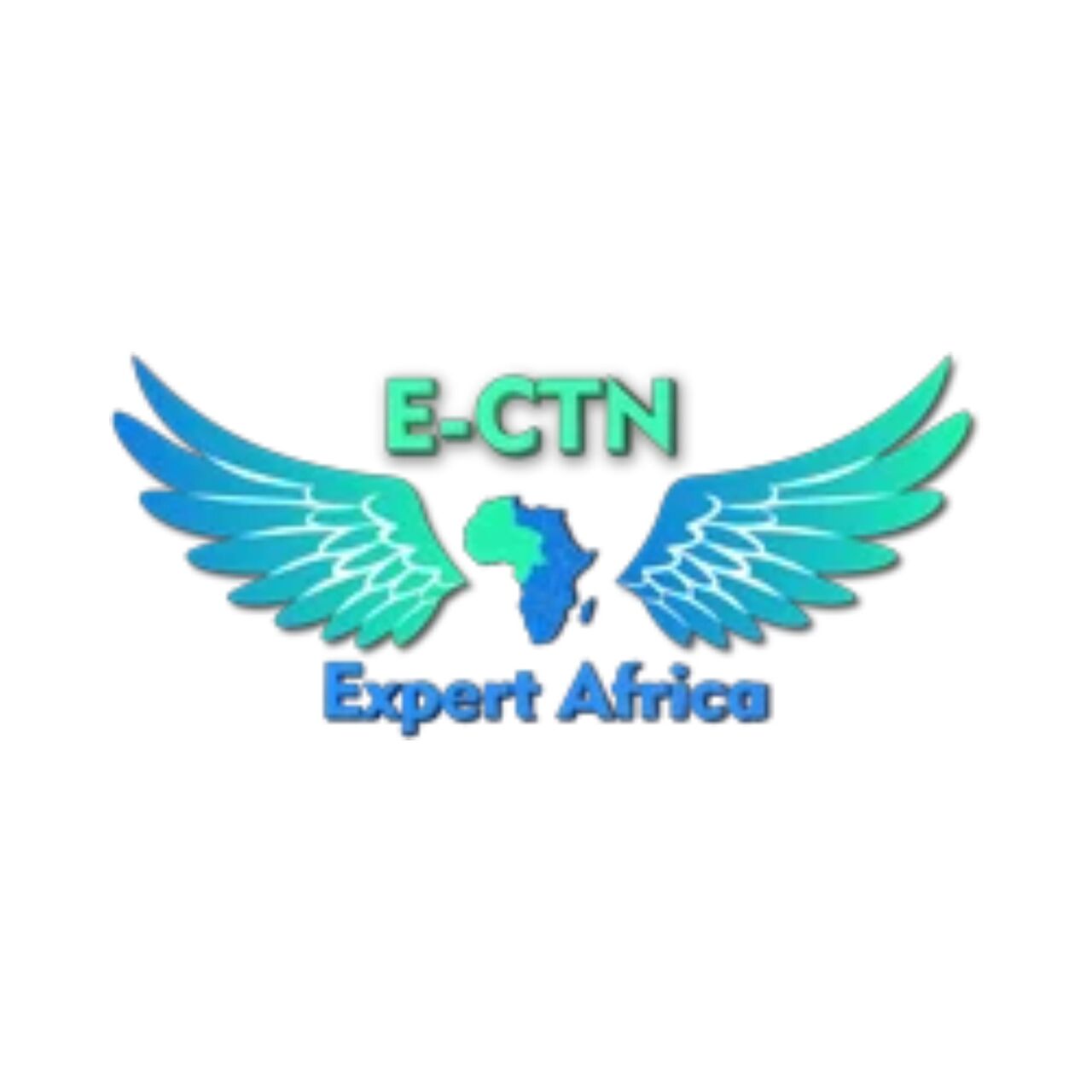 Dwarka, Logistics, Angola CNCA / ARCCLA Loading Certificate Services