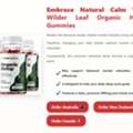 USD 32,  Wilder Leaf Organic Hemp Gummies Reviews: Complete Buyer Guide For CA