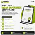 Background Verification In IT Companies: What HR Actually Checks