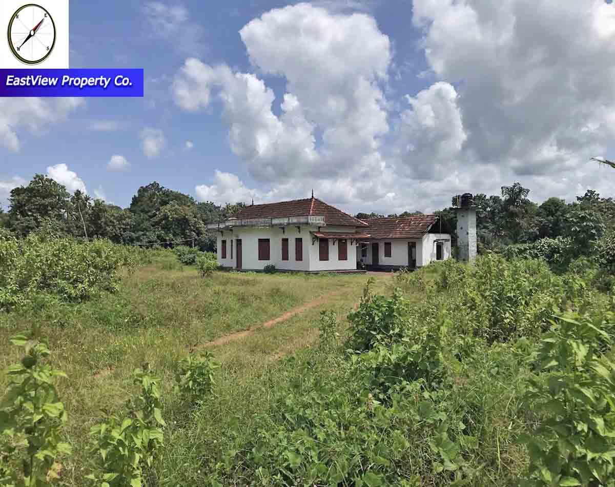 Kerala, Residential Plots, 6 Acre,  Plain Land With 100-Year-Old Heritage House For Sale Near Thiruvalla, Kerala - Call Sam