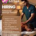 Massage Therapist