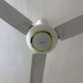 SAR 240,  Panasonic Fans