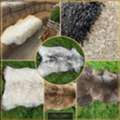 Eur 50,  A Wide Selection Of High-quality Sheepskins By Adam Leather PL