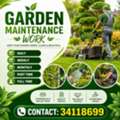 Garden Maintenance Services