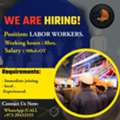 Labor/Helpers