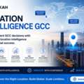 GCC India Vs Eastern Europe: Make Smarter Location Decisions With Aokah INC