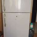 SAR 250,  Refrigerator