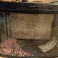 SAR 150,  Fish Aquarium For Sale