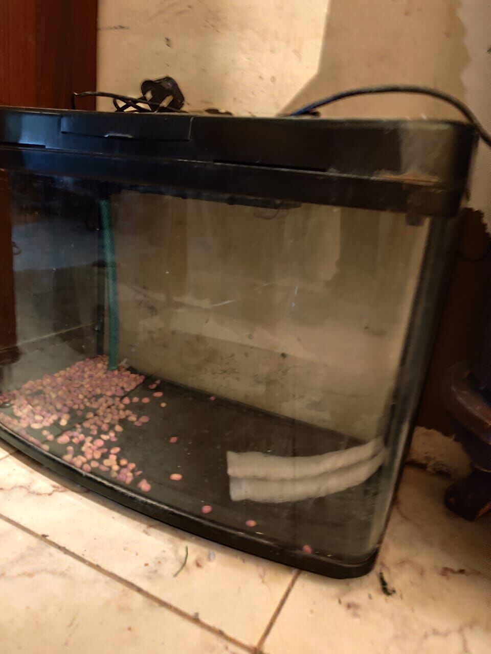 Riyadh, Pet Supplies, SAR 150,  Fish Aquarium For Sale