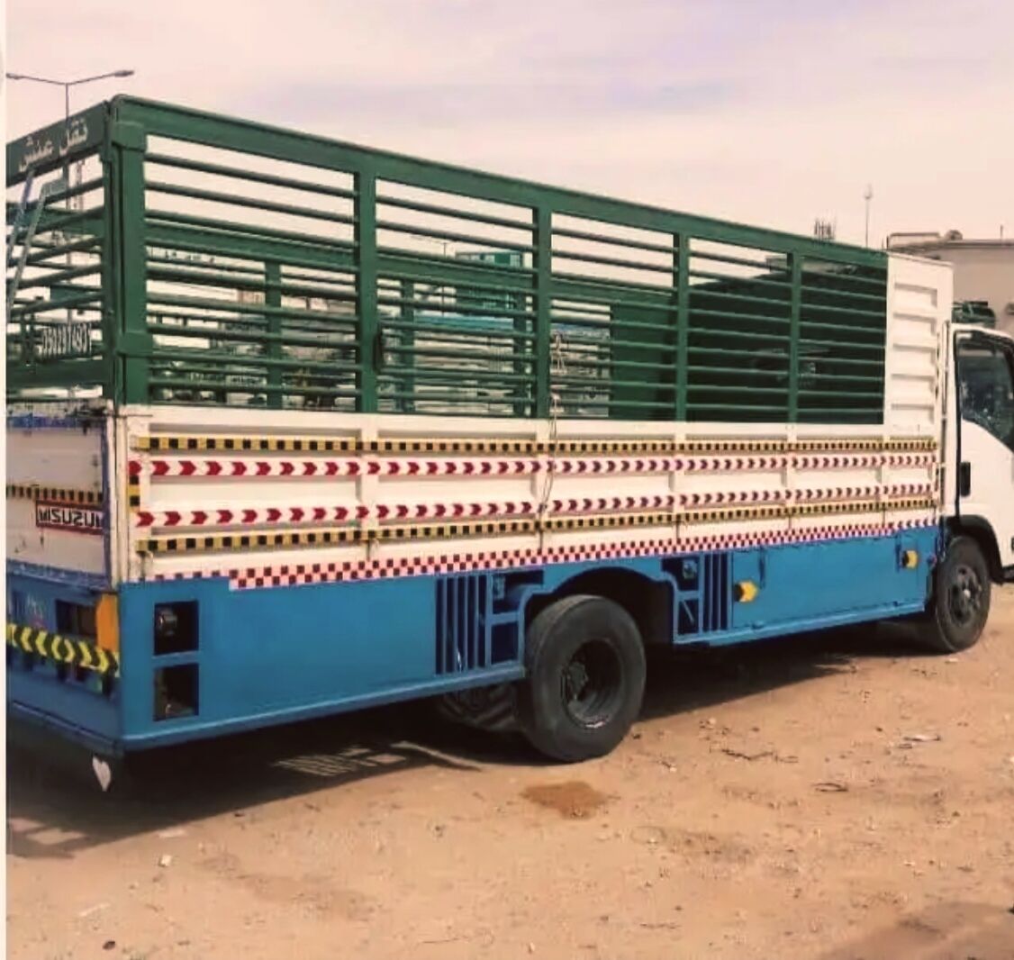 Al Badiah, Labor/Moving, ALL RIYADH MOVERS PACKERS CLEANERS AND PEST CONTROLTOTAL SOLUTION BEST PRICE