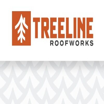 New York, Construction, Treeline Roofworks - Roof Repair