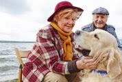 New York, Health, Reliable Pet Boarding With Loving Veterinary Supervision