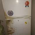 SAR 300,  Samsung Fridge