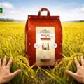 Healthy Low GI Rice For Diabetics | Sriaishwarya Foods