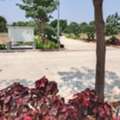 INR 22000,  237 Sq. Yard,  HMDA & RERA FINAL APPROVED Open Plots For Sale @ Maheshwaram