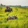 Kaziranga National Park Safari | Birding In Eagle Nest