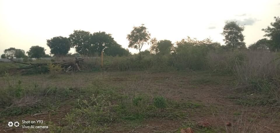 Hyderabad, Residential Plots, INR 20000,  200 Sq. Yard,  2 Road Plot For Immediate Sale 200 Sq Yrds In CHEVELLA - Hyderabad