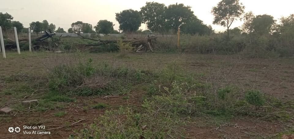 Hyderabad, Residential Plots, INR 20000,  200 Sq. Yard,  2 Road Plot For Immediate Sale 200 Sq Yrds In CHEVELLA - Hyderabad