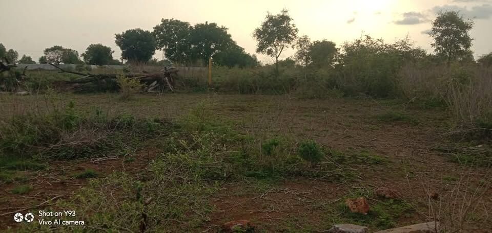 Hyderabad, Residential Plots, INR 20000,  200 Sq. Yard,  2 Road Plot For Immediate Sale 200 Sq Yrds In CHEVELLA - Hyderabad