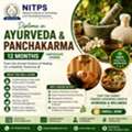 Diploma In Ayurveda & Panchakarma (12 Months) &ndash; Certificate Course | NITPS