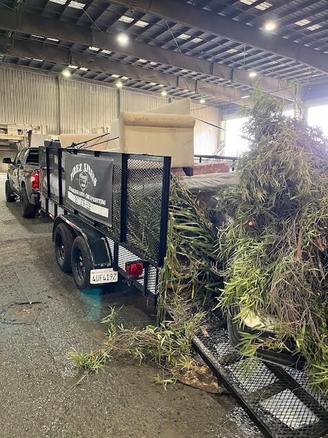New York, Cleaning, Perez Xpress
