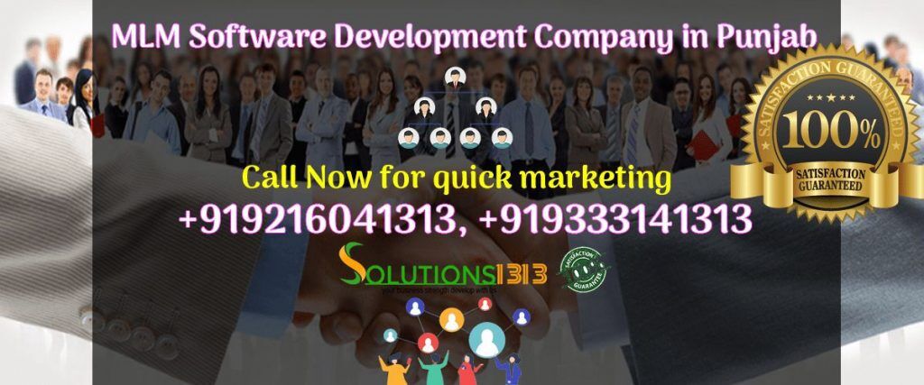 Punjab, Software Development, Transform Your Direct Selling Business With Smart MLM Technology