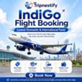 IndiGo Flight Booking Online &ndash; Best Airfare Deals | Tripnestify