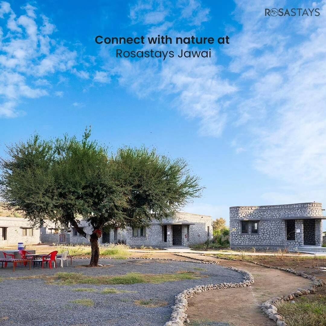 Mumbai, Travel, Best Resort In Jawai | Rosastays
