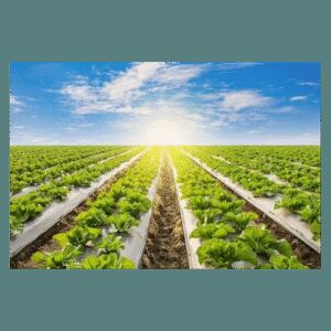 Mumbai, Materials, Best Herbicide For Farms - Shramik Krishi Kendra