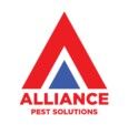 Sydney, Pest Control, Reliable Termite Treatment North Shore Experts