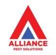 Reliable Termite Treatment North Shore Experts