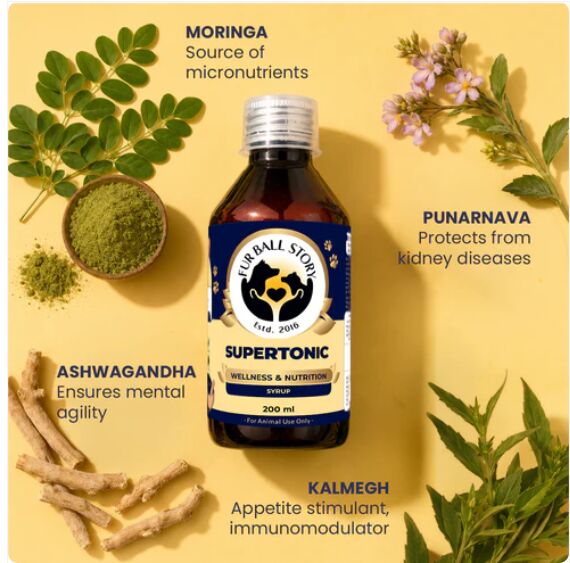 Mumbai, Pet Supplies, INR 339,  Multivitamin For Dogs Made With Ayurvedic Herbs