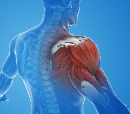 Gurgaon, Businesses For Sale, Shoulder Impingement In Gurgaon | Expert Physiotherapy For Lasting Shoulder Pain Relief