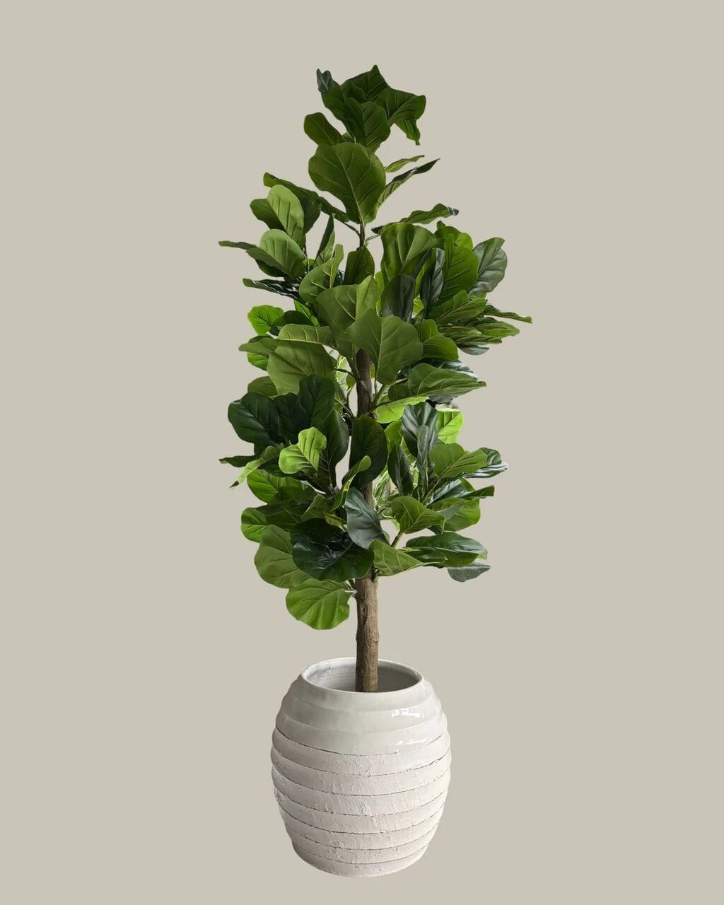 Sydney, Business, Artificial Plants