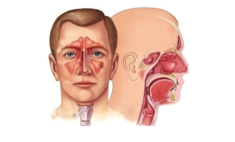 Ahmedabad, Health, ENT Hospital In Ahmedabad | Expert ENT & Head Neck Care | Zydus Hospitals