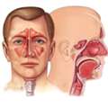 ENT Hospital In Ahmedabad | Expert ENT & Head Neck Care | Zydus Hospitals