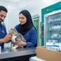 UAE Vet Market: Growth Drivers And Supply Priorities
