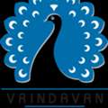 Guide Services In Vrindavan | GUIDE IN VRINDAVAN
