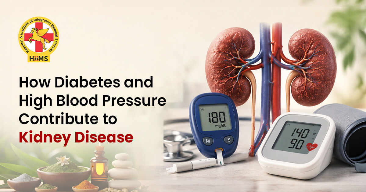 Chandigarh, Health, Natural Kidney Care For Diabetes & High BP Patients