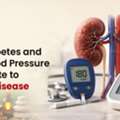Natural Kidney Care For Diabetes & High BP Patients