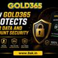 How Gold365 Protects User Data And Account Security