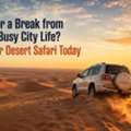 Ready For A Break From Dubai's Busy City Life? Book Your Desert Safari Today